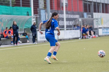 Bild 148 - wBJ Hamburger SV - FC Suederelbe : Ergebnis: 9:0